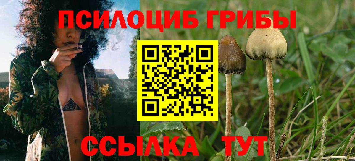 Псилоцибиновые грибы GOLDEN TEACHER  Вход с VPN  сколько стоит  Лесосибирск 